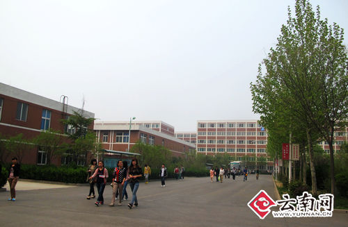 全国重点网络媒体山东教育采风活动走进山东协