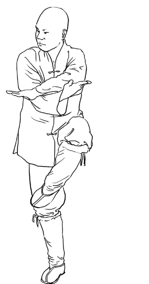 小罗汉拳·左右仆步切掌_资讯频道_凤凰网