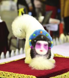 宠博会上的动物明星。