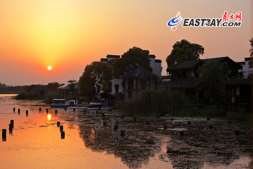 方摄影组织开展 东方摄影·青浦行 金泽古镇摄