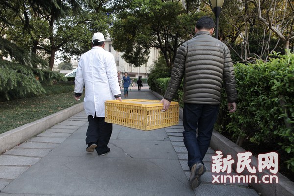 上海6日关闭广场鸽场 工作人员现场捕鸽忙(图
