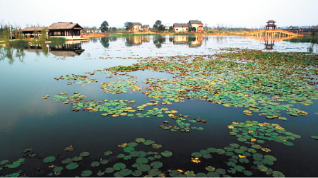 洋湖湿地公园