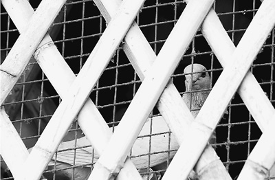 疾控中心专家：H7N9病毒“北上”证据尚不足