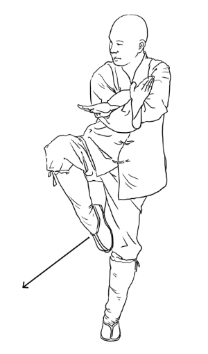 小罗汉拳·左右仆步切掌