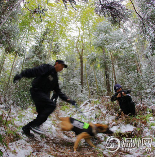 　雪地联合作战训练。陈志义摄