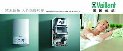 国产壁挂炉排名_壁挂炉十大排名2020年(3)