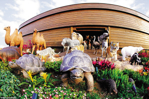 夏令营 给孩子一个非凡的假期