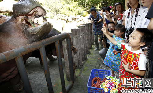 六一儿童节 重庆动物园对14岁以下儿童免门票