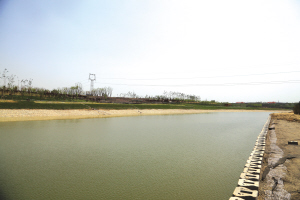 沣东新城强化河流治理