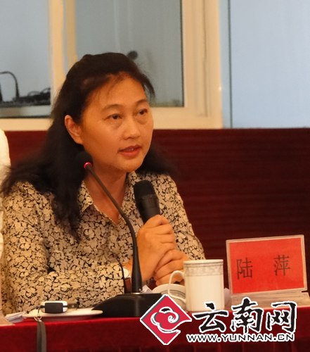 云南省人大常委会专题询问医药卫生体制改革工