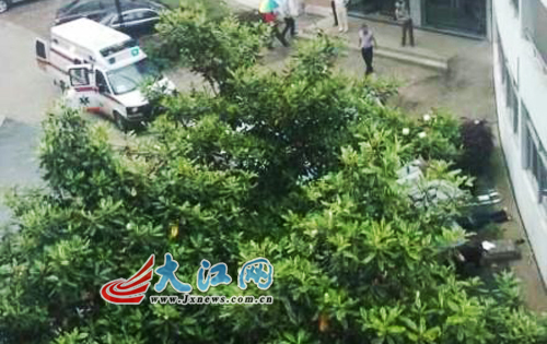 江西科技学院一女教工跳楼身亡(图)