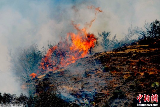 美国南加州山火蔓延 千余人被疏散