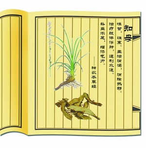 清热泻火说知母