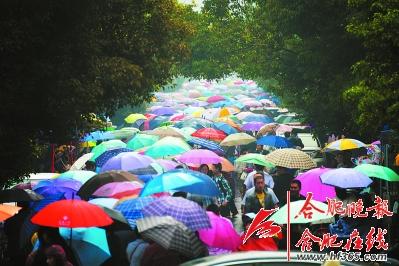 合肥学生冒雨排队报名上初中