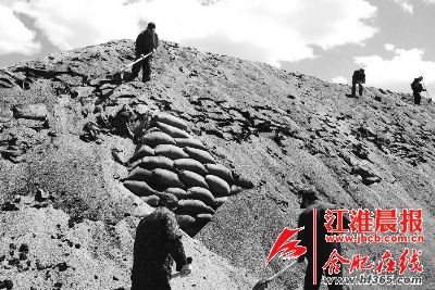 林甸县人口_林甸县第一中学(2)