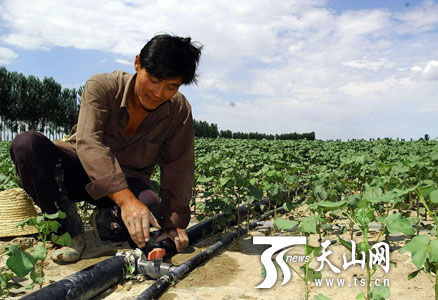 节能减排促新疆农业可持续发展
