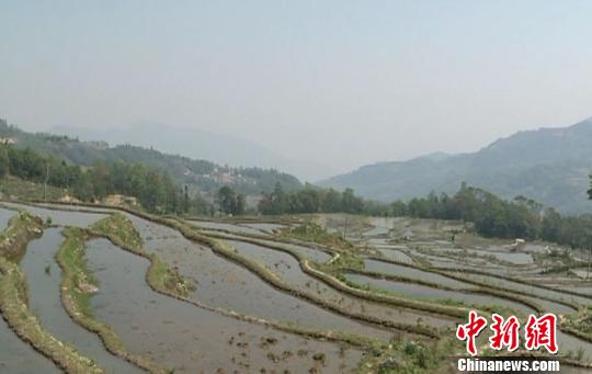 云南红河民众载歌载舞庆祝哈尼梯田申遗成功(