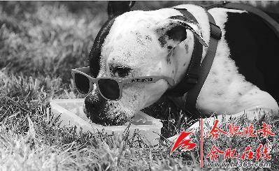 美国西部迎来酷暑天气