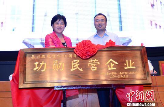 嘉兴民营经济总量_嘉兴红船图片(3)