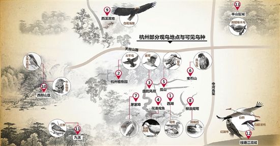 鸟地图3.0版最新出炉 杭州迎来了两位稀客