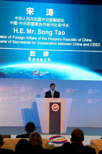 外交部副部长宋涛在中国 中东欧国家地方领导