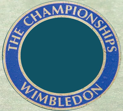 歌手李娜_李娜奖金收入分配(3)