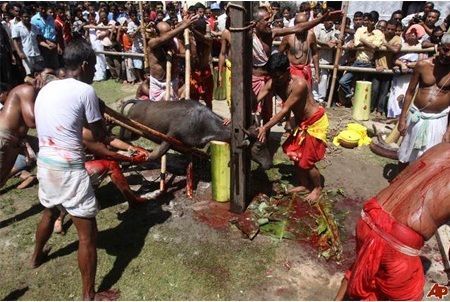 盘点9种争议<em>习俗</em>:印度部落食人尸体{组图}