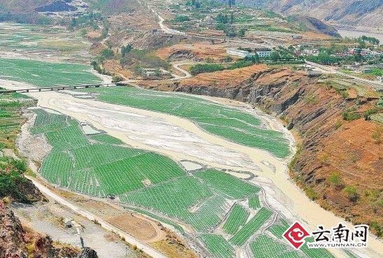 东川牛奶河整治100天河水变清 上半年GDP下