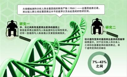 生物学专家首次揭示中国汉族与日本人基因表达