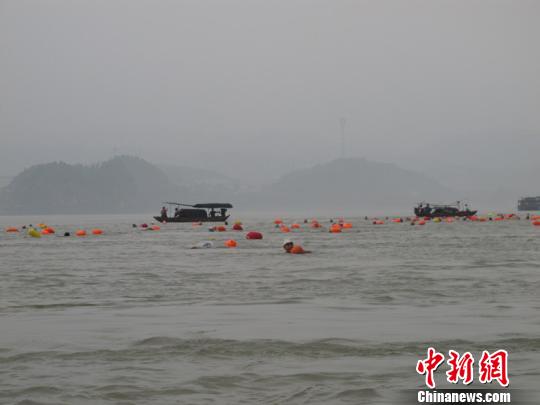 港澳新加坡游泳爱好者齐聚湖北宜昌横渡长江