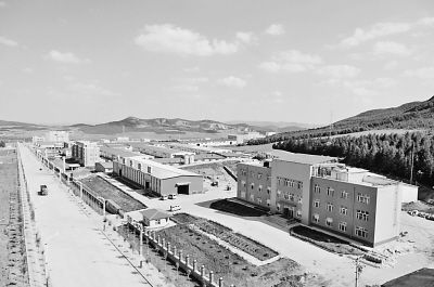 2019年七台河的经济_七台河市举行2019年产业项目集中开工仪式