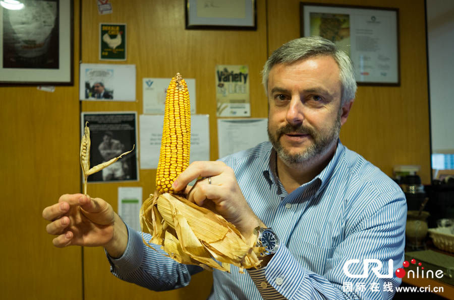 孟山都:中国从阿根廷进口转基因玉米大豆不用