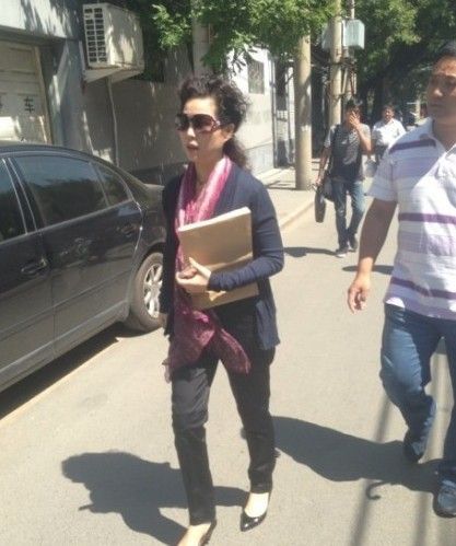 梦鸽向公安部信访办公室递交相关资料(图)_资讯频道_凤凰网