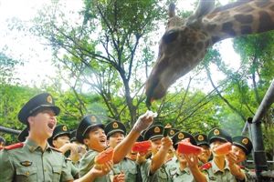 武警官兵给动物明星送消暑瓜果