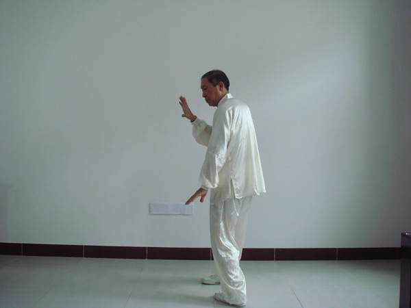 [连载]李仁平讲开合太极拳十八式 转身搂膝拗步