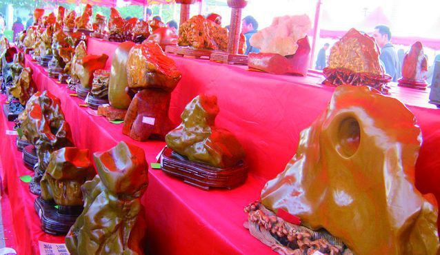 香港大黄鸭十一来长沙 《芙蓉国里》免费看啦