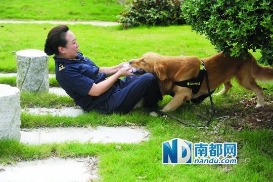 最后的兴奋型缉毒犬