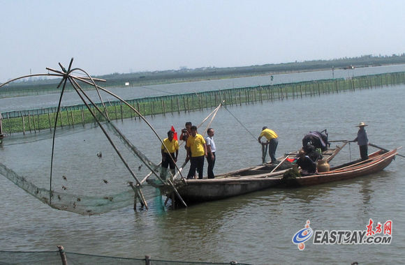 吃货们的福音 阳澄湖大闸蟹开捕上市(图)