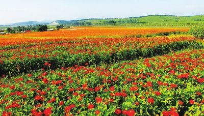 长春莲花山生态旅游度假区
