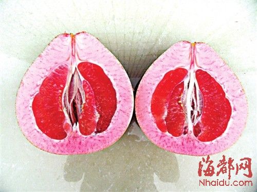 红皮红瓤红瓤衣三红蜜柚百元一个