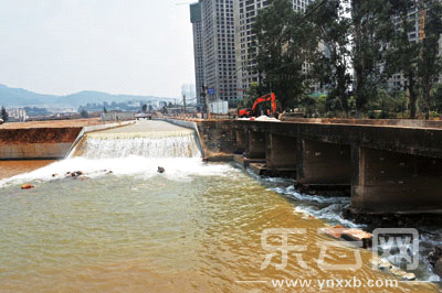 滇池豪饮清水10天后牛 滇补水工程暂停供水