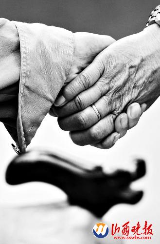 老来伴(图)_资讯频道_凤凰网