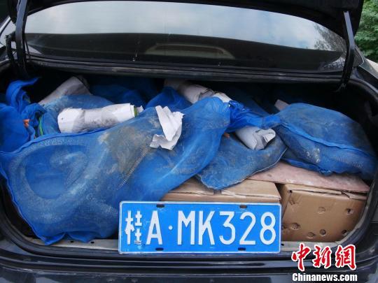 图为缴获的野生非洲晰蜴和假车牌. 龚少朵 摄