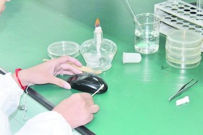 手机、鼠标比垃圾桶脏数十倍