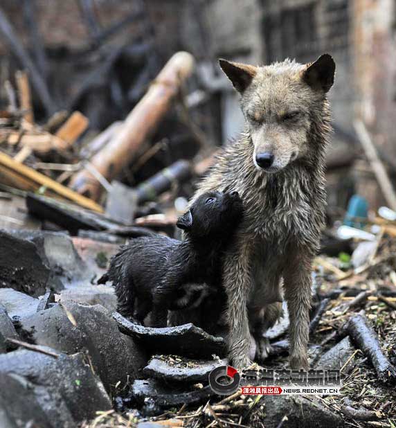 临湘贺畈人口_临湘五尖山