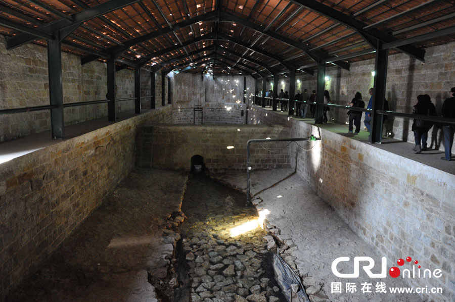 冲破隔离墙 增进巴以了解(高清组图)|巴勒斯坦