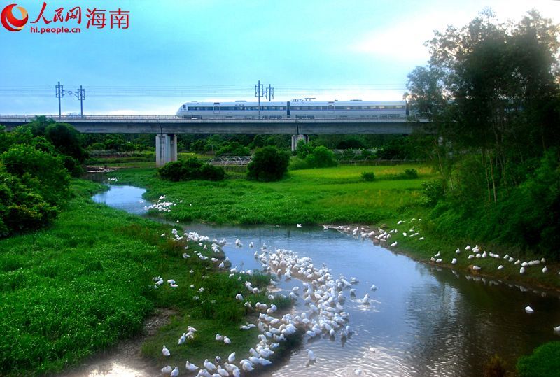 琼海摄影家用镜头描绘田园城市风光(组图)|琼海