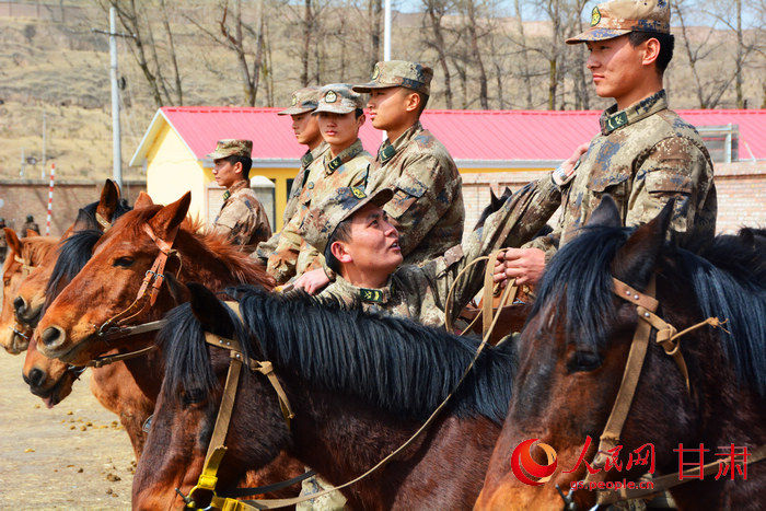 驰骋在甘南大草原上的最后骑兵连|桑科|草原