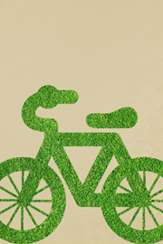 绿色出行带来自行车热
