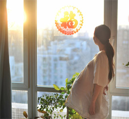 2014年2月2日，怀孕第254天，juju看夕阳